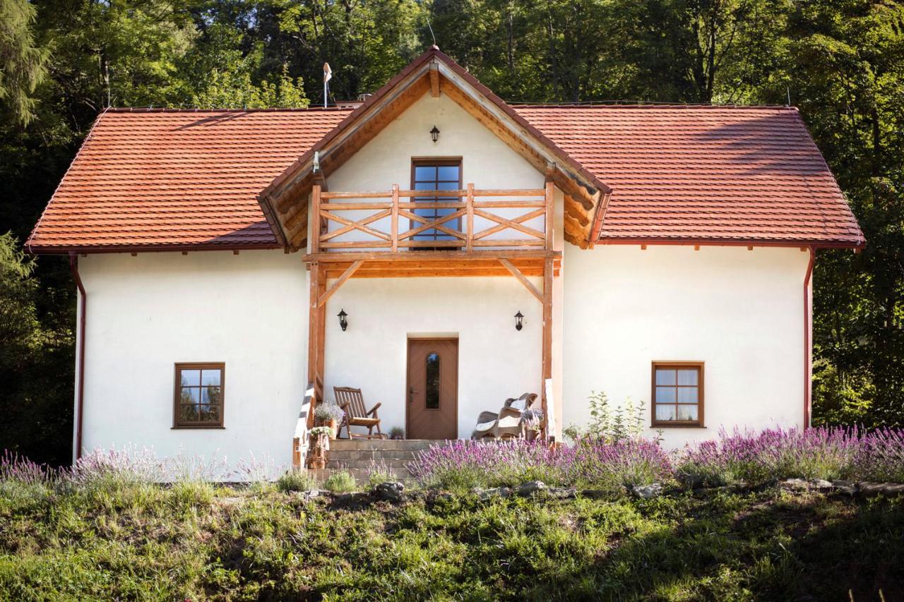 Pensjonat pod Górą Karczmisko Konradow  Zewnętrze zdjęcie